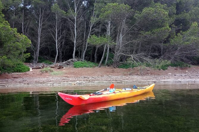 Kayak Treasure Hunt in Balearic Islands - What to Expect During the Experience