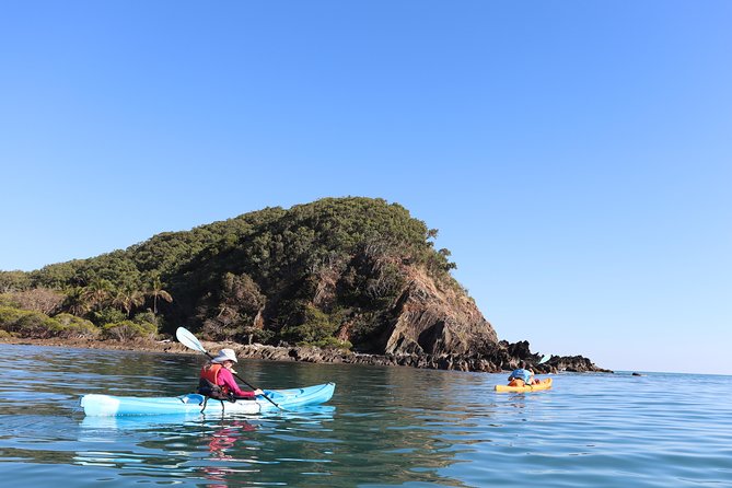 Kayak Turtle Tour From Palm Cove - Booking Confirmation and Reviews