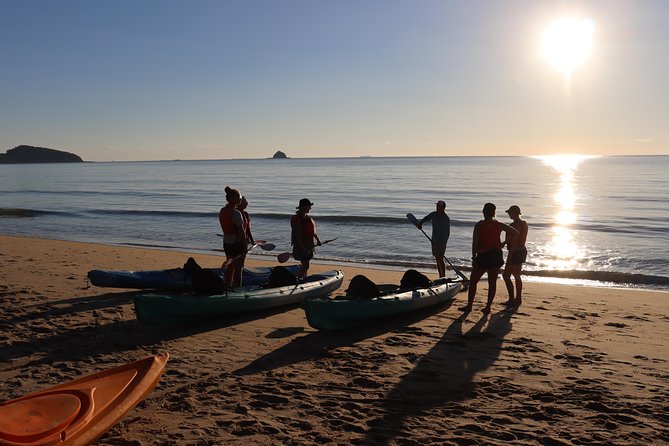 Kayak Turtle Tour From Palm Cove - Additional Fees and Costs