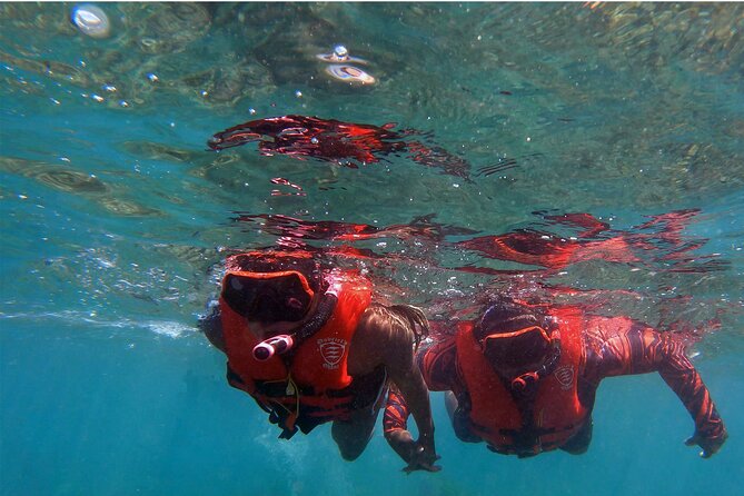 Kayak Whale Watch and Snorkeling - Olowalu - Accessibility
