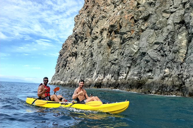 Kayak With Dolphin & Turtle Watching Private Tour - Included Experiences