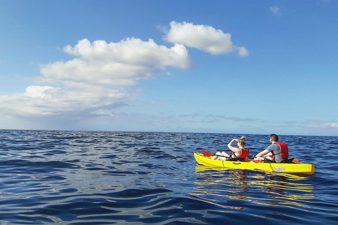 Kayak With Dolphin & Turtle Watching Private Tour - Participant Restrictions