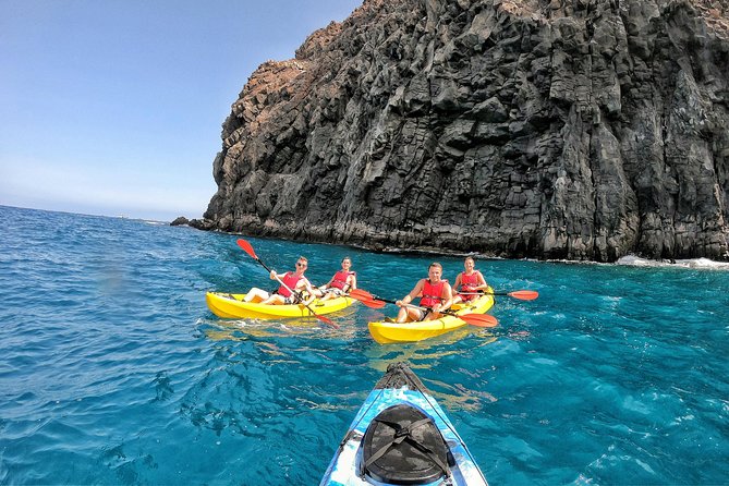 Kayak With Dolphin & Turtle Watching Private Tour - Private Group Experience