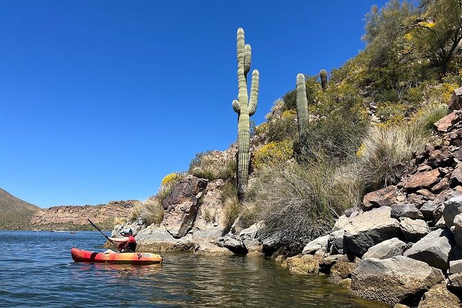 Kayaking 3 Hr Canyon & Cliffside on Saguaro Lake - Meeting Point and Start Time