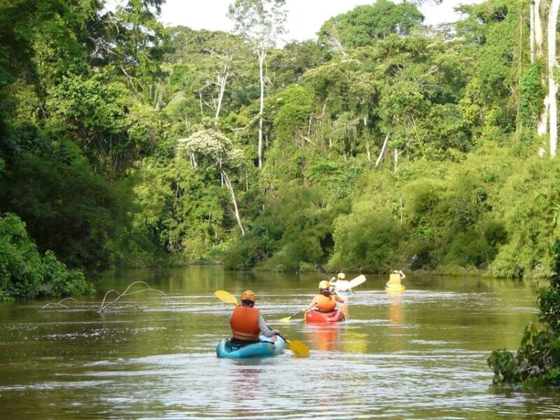 Kayaking Adventure Exploring From Puerto Maldonado 4D - Adventure Activities