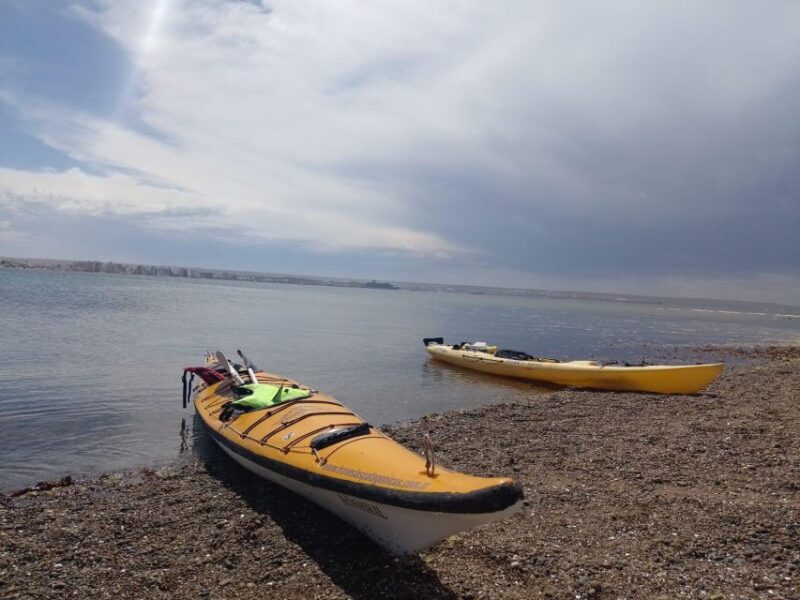 Kayaking Adventure in Puerto Madryn - Meeting Point and Important Information