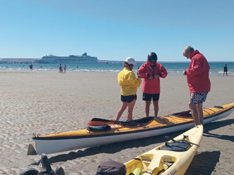 Kayaking Adventure in Puerto Madryn - Kayaking Highlights