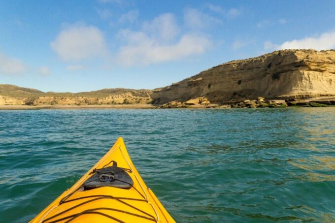 Kayaking Adventure in Puerto Madryn - Frequently Asked Questions