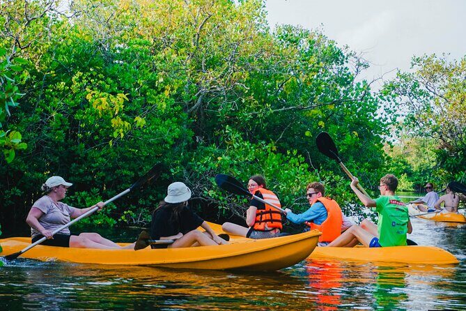Kayaking Adventure on serene waters through mangroves, Akurala - The Real Value: Why This Tour Works