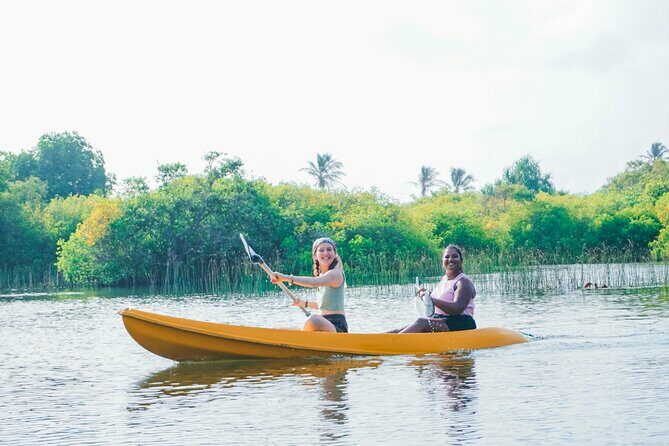 Kayaking Adventure on serene waters through mangroves, Akurala - Practical Considerations: Making the Most of Your Trip