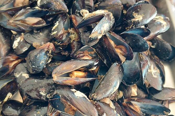 Kayaking and Mussels Tasting at Krka River Estuary-Private Tours - Exploring Krka River Estuary