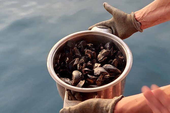 Kayaking and Mussels Tasting at Krka River Estuary-Private Tours - Mussel Tasting and Swimming