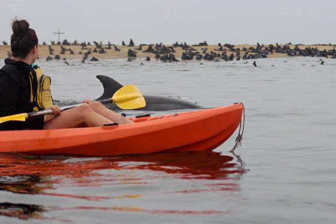 Kayaking and Sandwich Habour Guided Day Tour From Walvis Bay - Exploring the Namib Desert