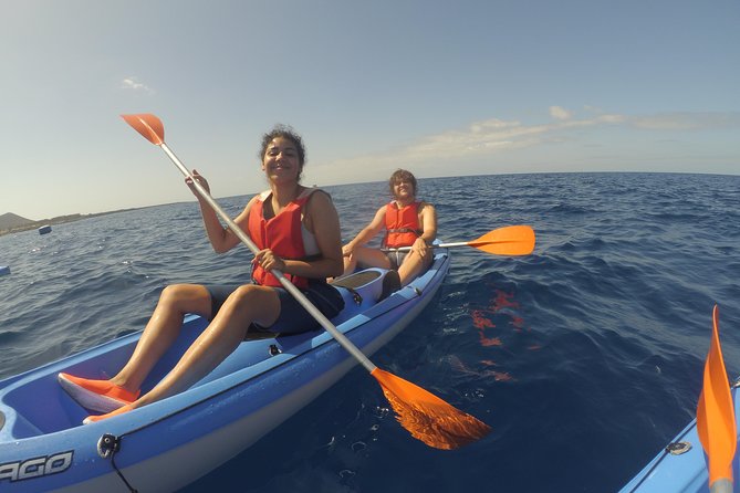 Kayaking and Snorkeling - Marine Life Sightings