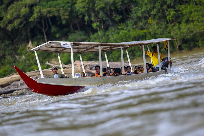 Kayaking and Snorkeling Tour in Ang Thong Marine Park - Customer Feedback and Insights