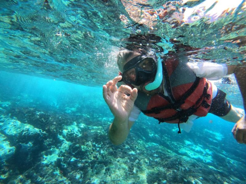 Kayaking and Snorkeling With Turtles - Equipment and Safety Measures