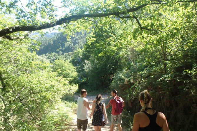Kayaking and Waterfall in Peneda-Gerês National Park From Porto - Health Considerations