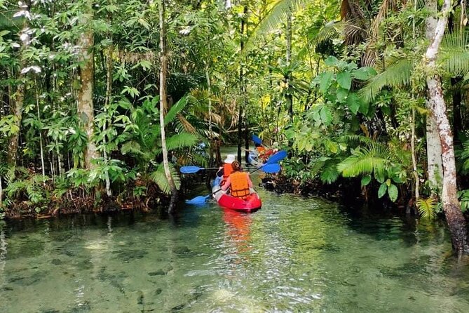 Kayaking at Krabi Khlong Nam Sai (Crystal Lagoon) - Positive Experiences