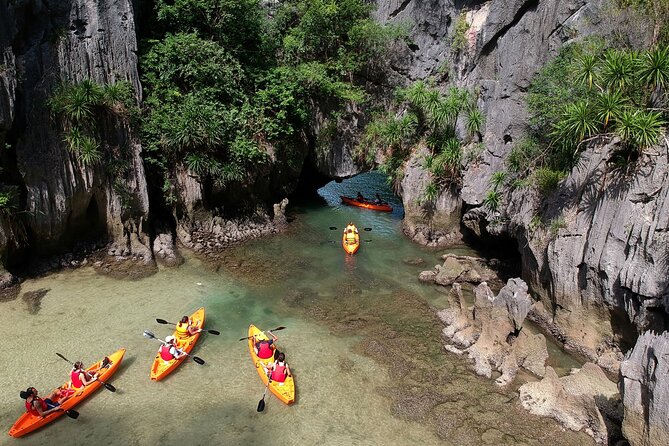 Kayaking at Lan Ha Bay - Observing Aquatic Life