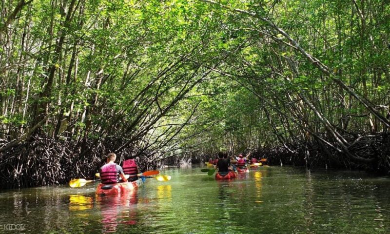 Kayaking at Thalane in Krabi and ATV Extreme - Itinerary Details