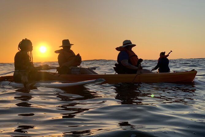 Kayaking Bioluminescence Experience - Group Size and Pricing