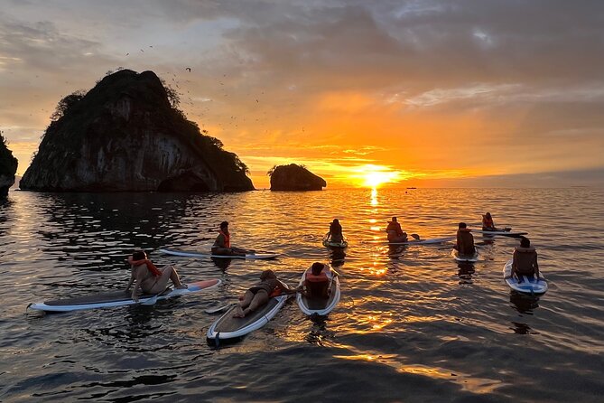 Kayaking Bioluminescence Experience - Health and Safety Guidelines