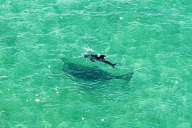 Kayaking Clear Through Clearwater - Additional Information
