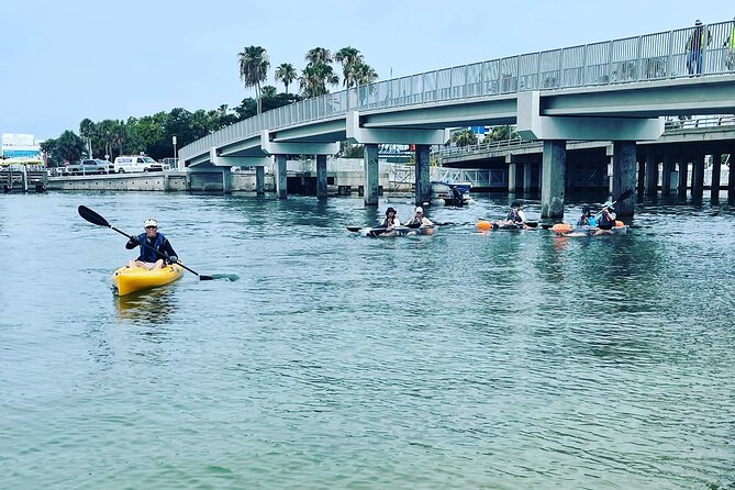 Kayaking Clear Through Clearwater - Why This Tour May Sell Out