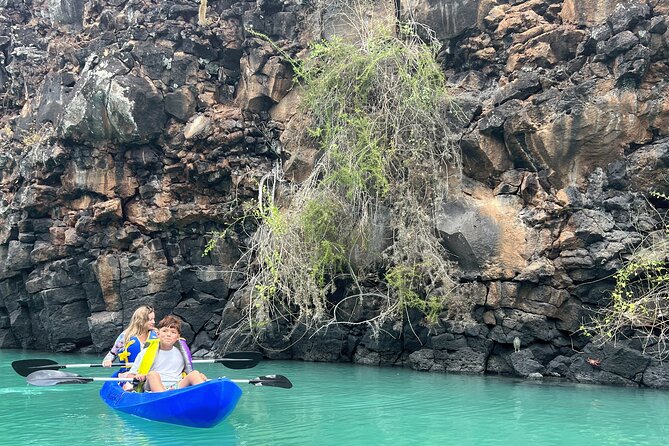 Kayaking Experience in Franklin Bay - Key Points
