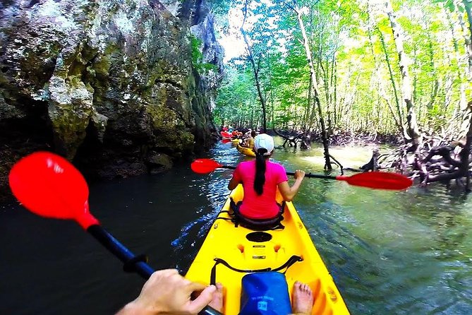 Kayaking in Ao Thalane - Discover the Mangrove Life - Pricing and Booking