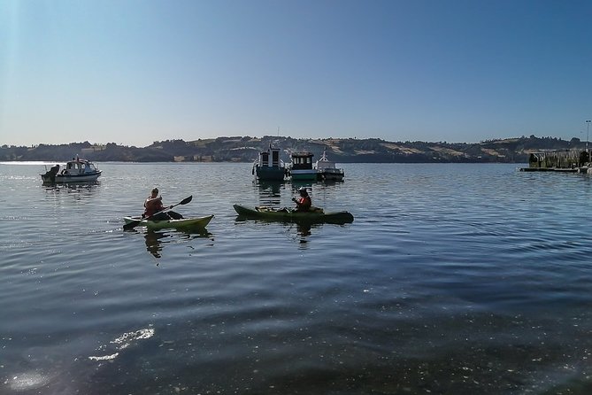 Kayaking in Chiloé Island - Key Points