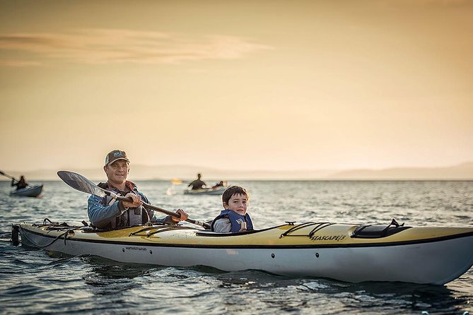 Kayaking in Deception Pass State Park - Wildlife and Fidalgo Island Sights