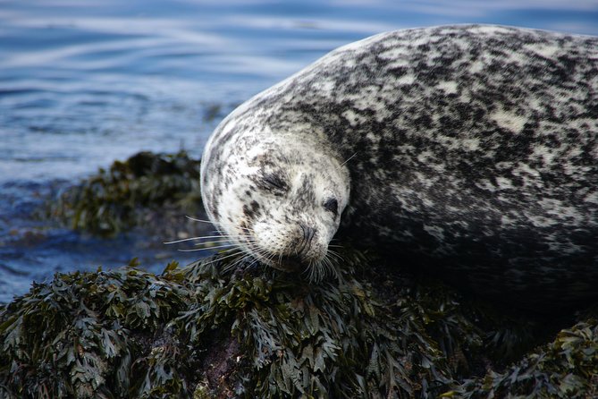 Kayaking in Deception Pass State Park - Pre-Tour Requirements and Restrictions