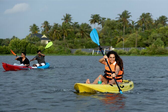 Kayaking in Kochi Guided Backwater and Mangrove Experience - The Experience of a Lifetime or a Relaxing Day Out?