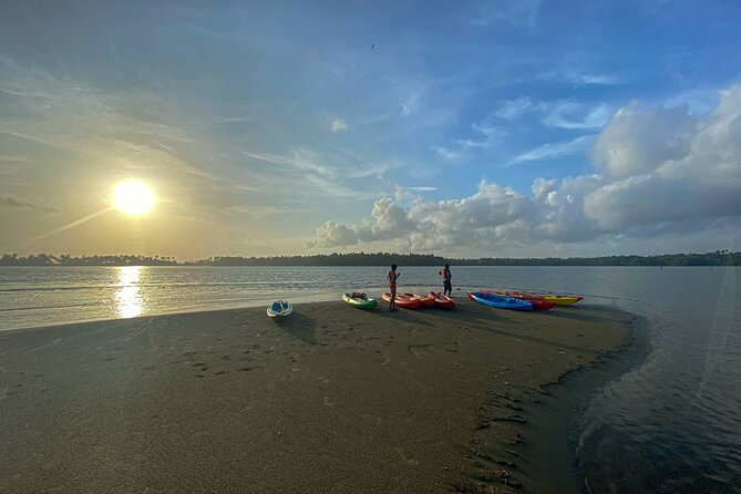 Kayaking in Mangrove Forest of Paravur Backwaters Near Varkala and Kollam - Location and Accessibility