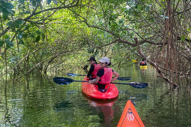 Kayaking in Mangrove Forest of Paravur Backwaters Near Varkala and Kollam - Pricing and Booking Details
