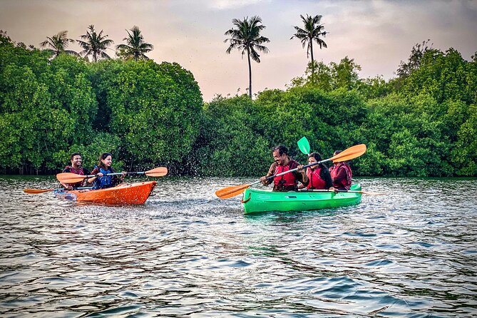 Kayaking in Mangrove Forest of Paravur Backwaters Near Varkala and Kollam - Health and Safety Considerations