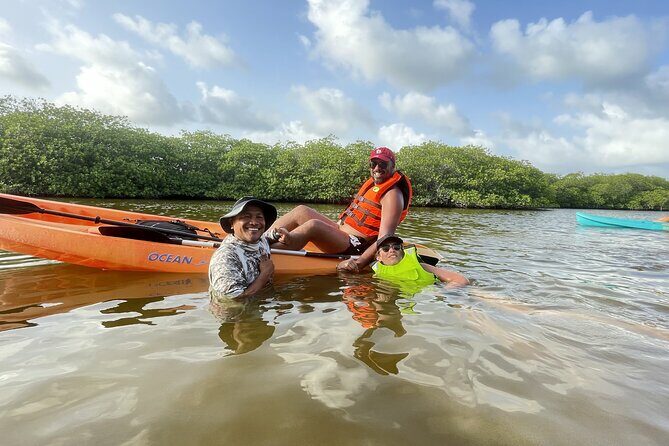 Kayaking in the Mangroves Experience - Pricing and Value: Is It Worth It?