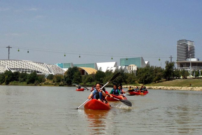 Kayaking in Zaragoza: Fluvial Ecotourism With Ebronautas - Diverse Riverside Bird Life