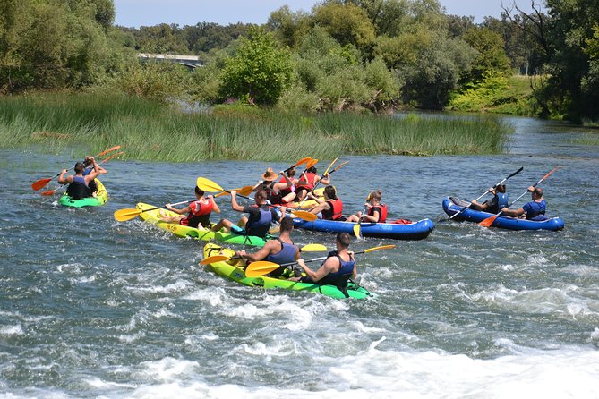 Kayaking - Kayak Tour Karlovac - Highlights and Unique Features