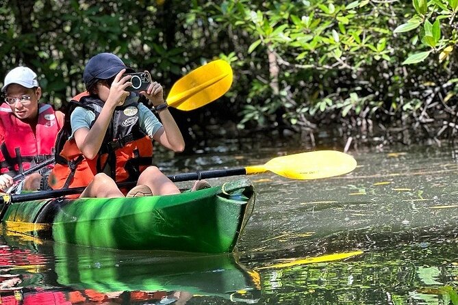 Kayaking Kilim Mangrove Geoforest - Tour Logistics and Details