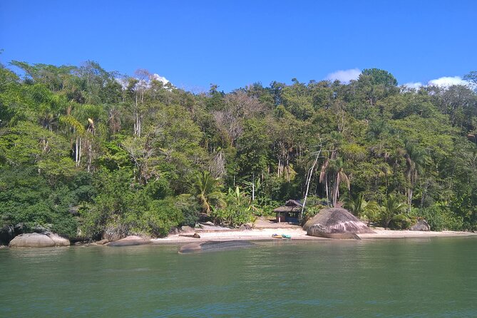 Kayaking Mangroves Tour - Tour Type and Highlights