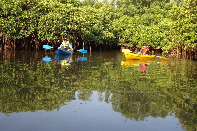 Kayaking on Sal Backwaters - Goa - Good To Know