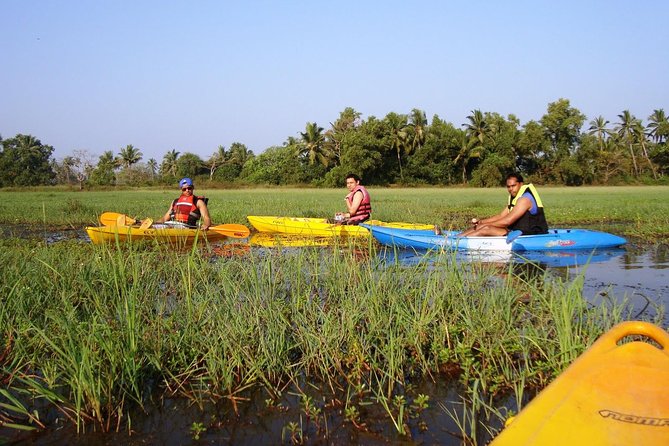 Kayaking on Sal Backwaters - Goa - Local Guidance and Refreshments
