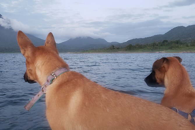 Kayaking on the Lake Arenal *Personalized Experience* - Navigating the Unique Pickup Options