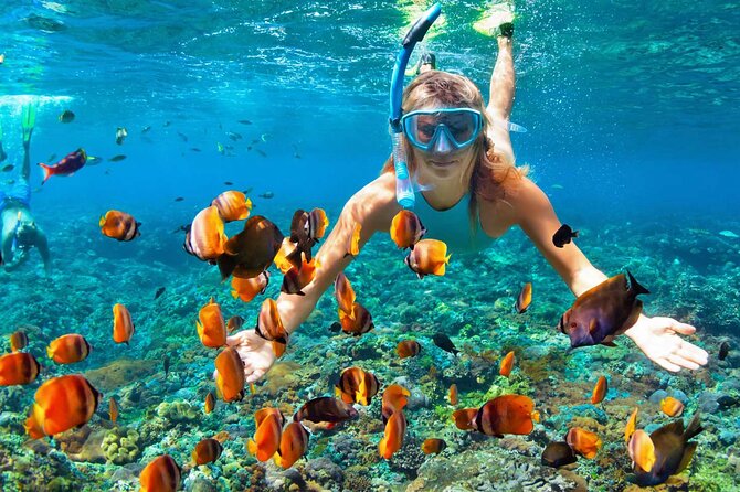 Kayaking & Snorkeling in Samana Bay and Cayo Levantado Island - Discovering Cayo Levantado
