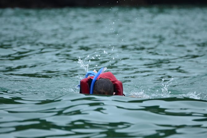 Kayaking & Snorkeling Tour From Manuel Antonio - Tour Overview