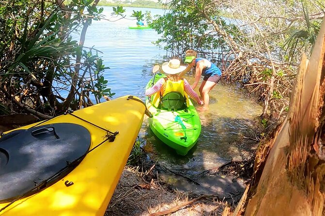 Kayaking the Canals of Venice, FL - Overview of the Activity