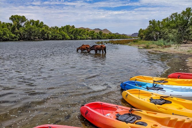 Kayaking the Salt River Foxtail Trip - Feedback From Previous Participants