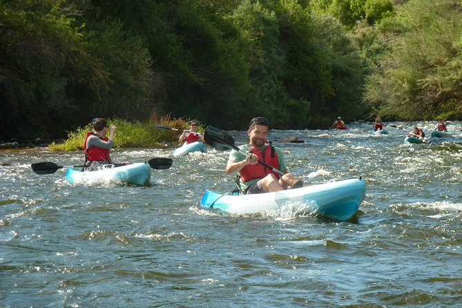 Kayaking the Salt River Foxtail Trip - Year-Round Availability and Cancellation Policy